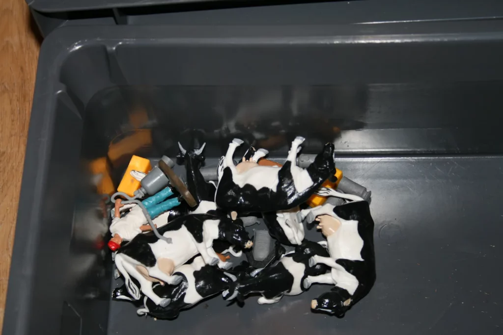 Vaches